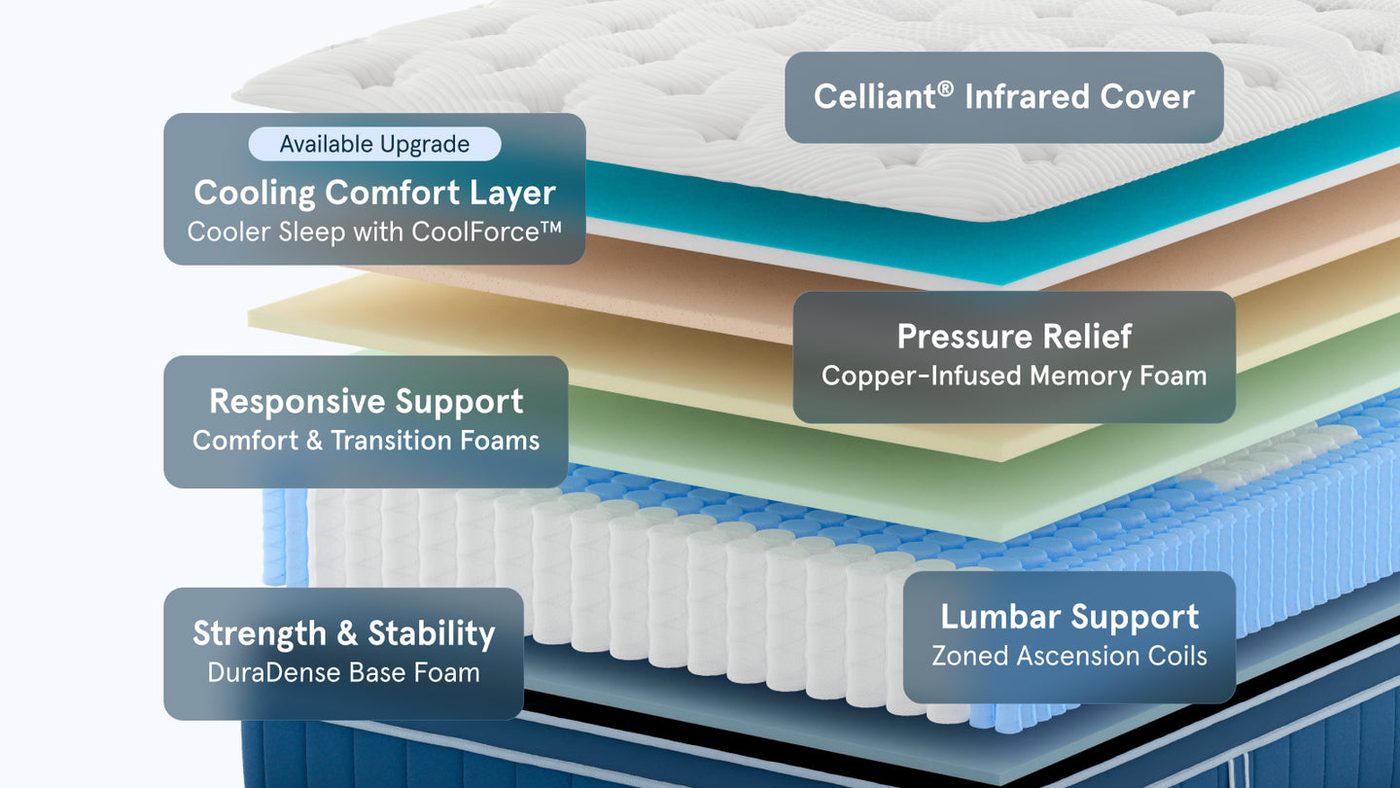 Exploded layer view of the Bear Elite Hybrid construction