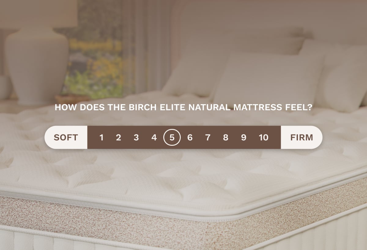 Birch firmness chart showing the Birch Elite Natural's medium-soft feel